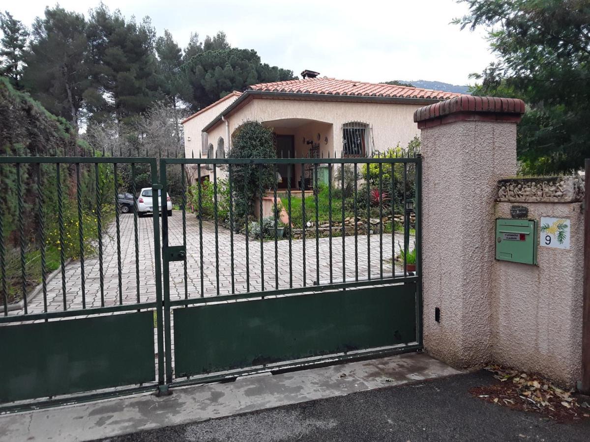 Les Alberes Panzió Sorède Kültér fotó
